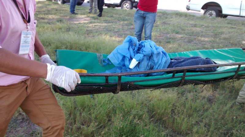 Encuentran bebé muerta en fraccionamiento de Veracruz. Noticias en tiempo real